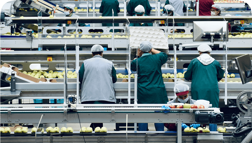 Szkolenia_produkcja_zoptymalizowane